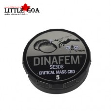 Dinafem Critical Mass CBD Pack of 5