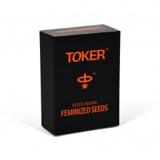 Toker Feminised Amnesia Seeds Pack of 10
